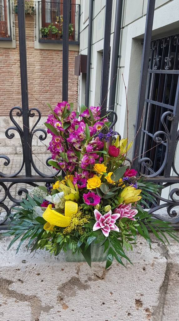 Cesta de plantas&nbsp;2