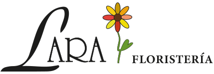 logo main
